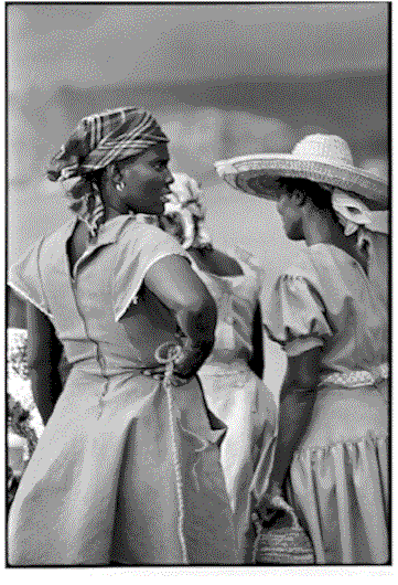 photo1.gif (72490 bytes)